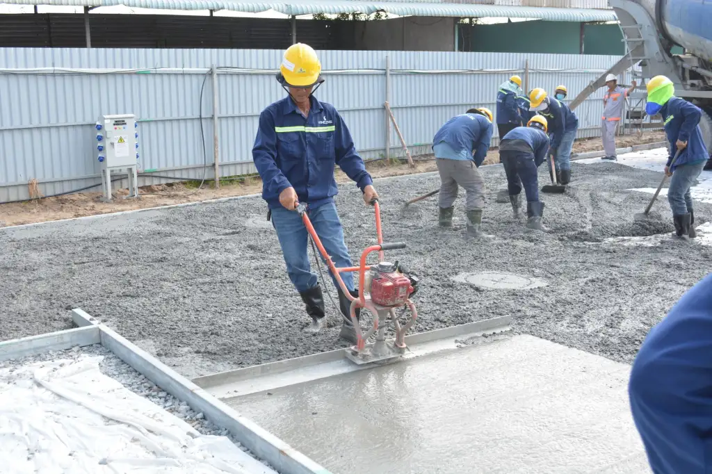 2024年大兴安岭猴头菇与蓝莓干市场价格走势及采购建议