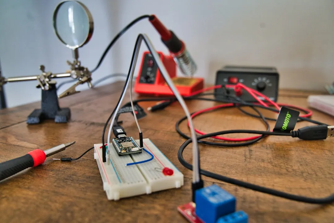 黑木耳与猴头菇林下产品营养价值对比及应用建议